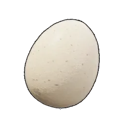 卵