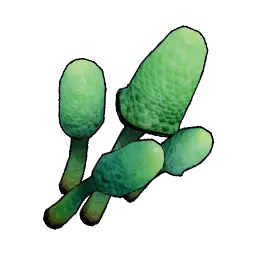 洞窟キノコ