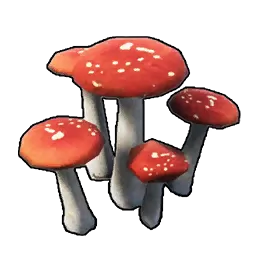 キノコ