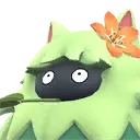 トロピティのサドル
