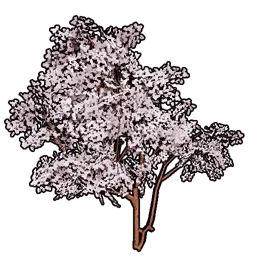 模型の桜セット