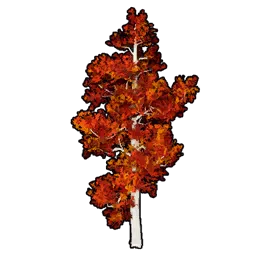 模型の紅葉樹セット
