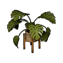 観葉植物セット